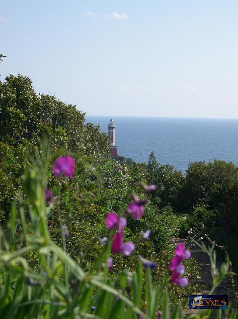 faro di punta carena.JPG